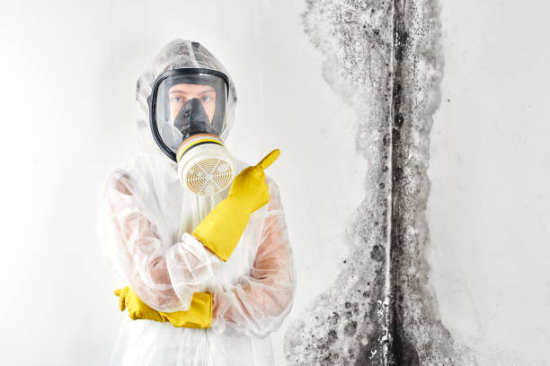 Weeping Water, NE Mold Removal Services Company